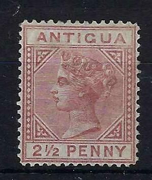 Image of Antigua 19 MM